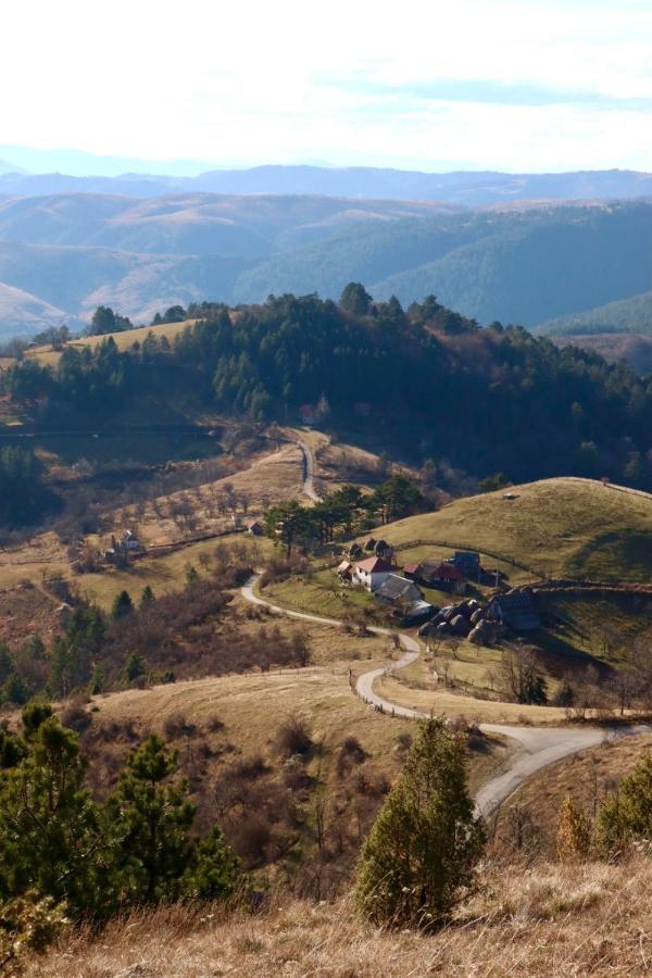 Apartmán Vila Zorica Vodice Zlatibor Exteriér fotografie