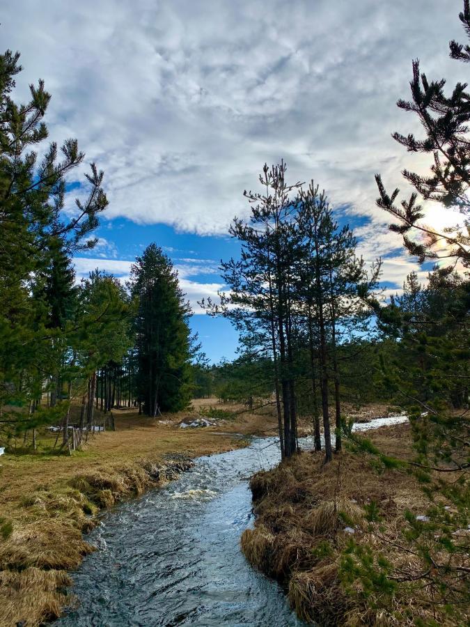 Apartmán Vila Zorica Vodice Zlatibor Exteriér fotografie