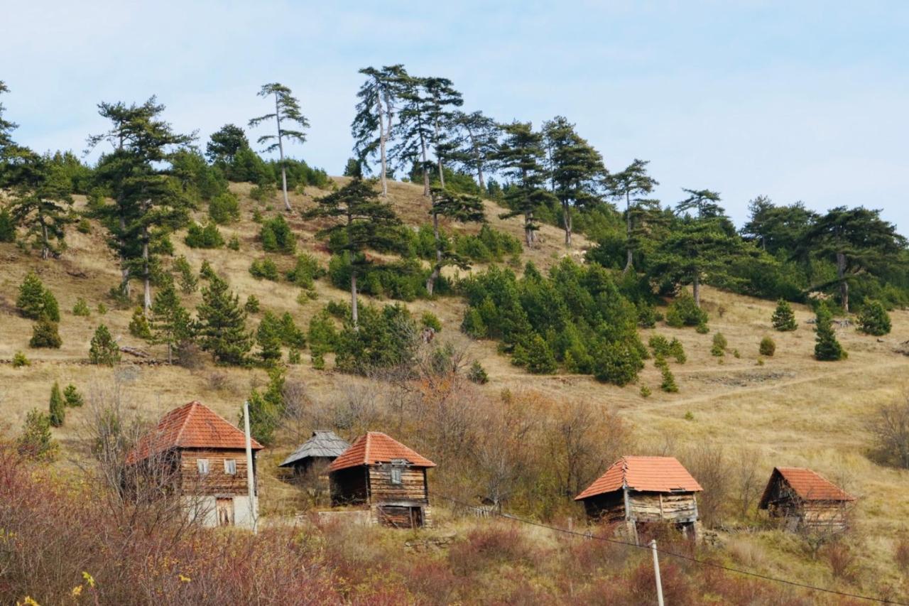 Apartmán Vila Zorica Vodice Zlatibor Exteriér fotografie