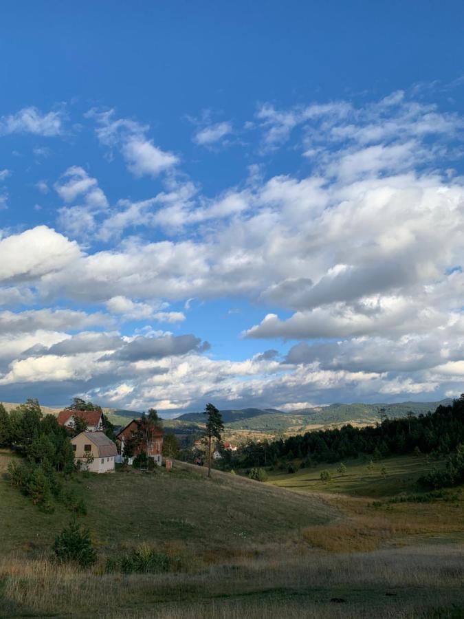 Apartmán Vila Zorica Vodice Zlatibor Exteriér fotografie