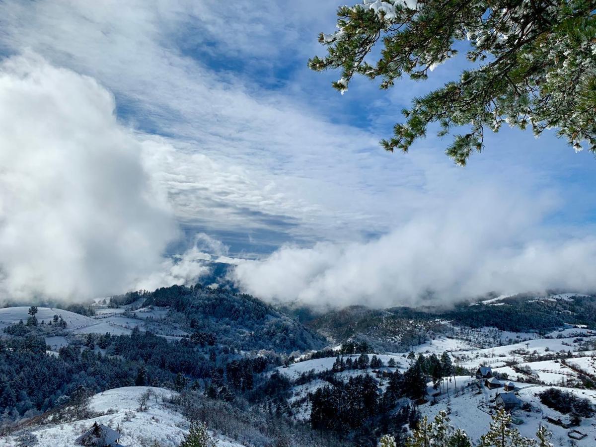 Apartmán Vila Zorica Vodice Zlatibor Exteriér fotografie