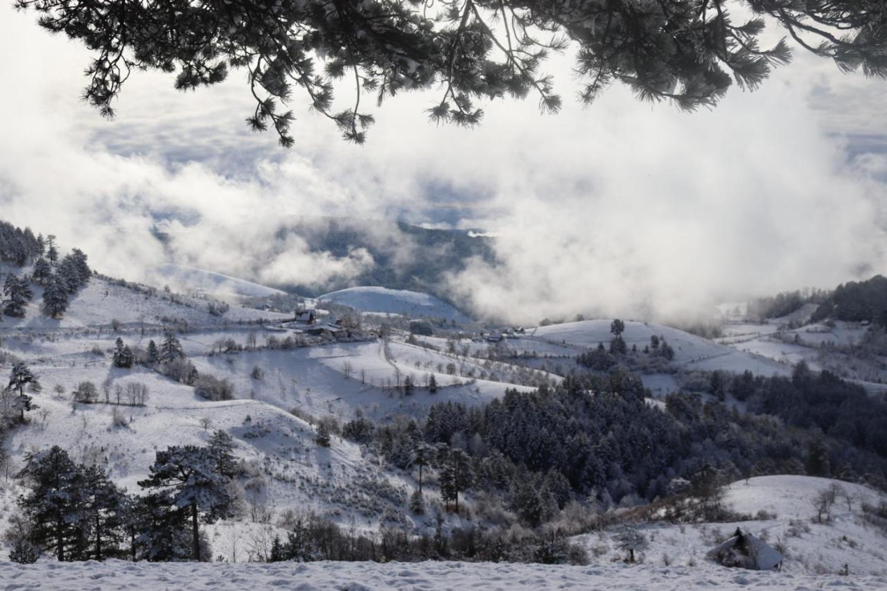 Apartmán Vila Zorica Vodice Zlatibor Exteriér fotografie