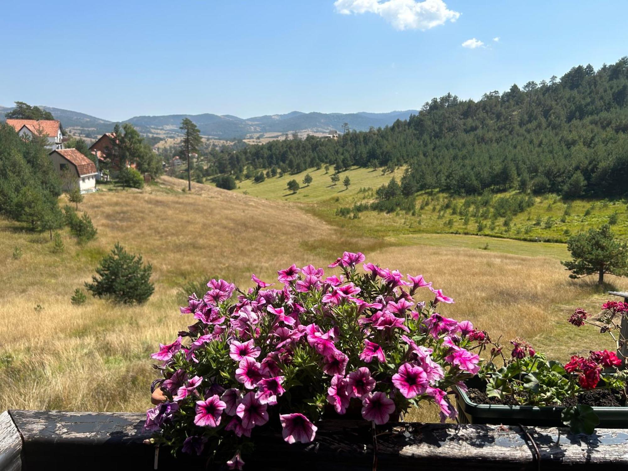 Apartmán Vila Zorica Vodice Zlatibor Exteriér fotografie